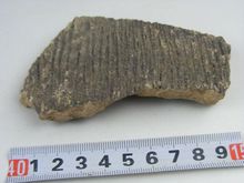新石器红山文化期陶器红陶压印灰陶瓷片高古科普收藏标本遗址保护
