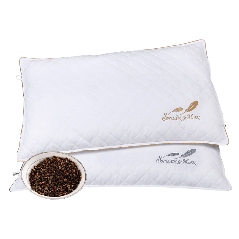 ˫��������ͷZX999