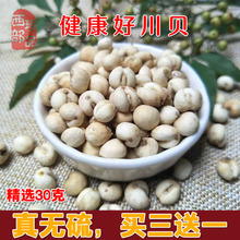 包邮 精选无硫川贝母四川产地特级非野生松贝同仁堂农家可磨粉30克