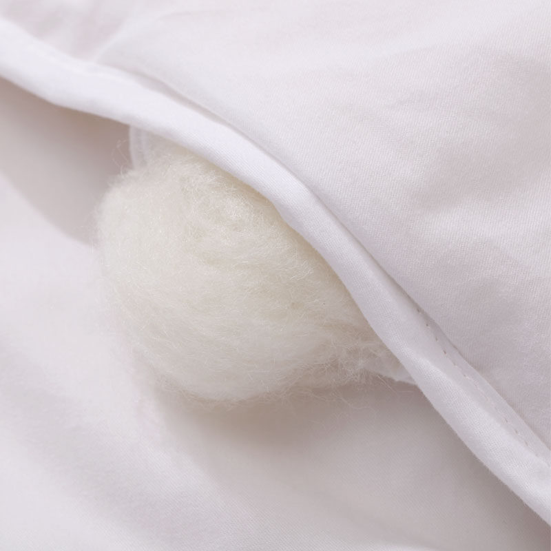 ʥ֮����˿���ﱻ��