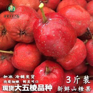 唇釉 糖葫芦光泽 8号apple 19年新品唇釉水润果