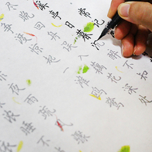 簪花小楷花草诗词李清照诗词名篇20首小楷毛笔宣纸描红字帖长卷