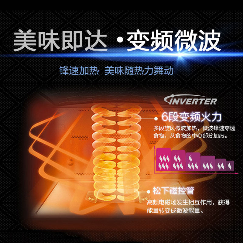 ����΢��¯NN-DS1000