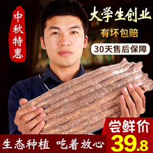 河南焦作温县正宗5斤垆土铁棍山药新鲜淮山怀山铁杆山约山荮 怀涛
