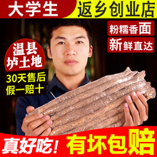 怀涛 河南焦作温县正宗5斤装 垆土铁棍山药新鲜淮山怀山约铁杆山荮