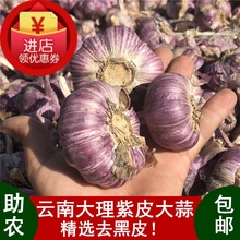 包邮 批新鲜发蒜蓉佐料瓣蒜精选真助农 云南紫皮大蒜头干蒜5斤低价