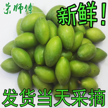 福建福州新鲜青橄榄青果现摘500g长营品种橄榄果产地直发2斤包邮