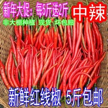 广西农家红线椒 新鲜红辣椒 尖椒 红二荆条 新鲜蔬菜中辣 5斤包邮