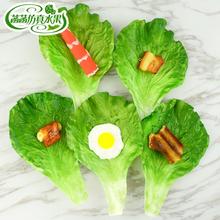 饰橱柜家居软装 仿真生菜叶菜菜叶PU假蔬菜果蔬模型装 摆设道具