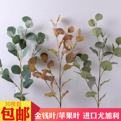 仿真金钱叶进口尤加利苹果叶婚庆绢花婚礼插花酒店软装美陈绿植叶