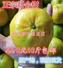 2018年正宗广东新会新鲜大红小青柑果湿青皮桔橘子陈皮柑普茶鲜果