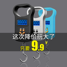 手提电子秤50kg便携式高精度家用迷你弹簧秤快递行李勾子称小秤型