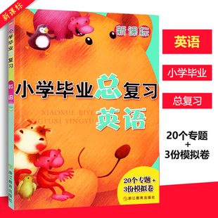 包邮2018新课标小学毕业总复习 20个专题+3份