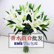 湘西同城鲜花店配送柳州市鹿寨县柳北区柳南区速递送花香水白百合