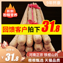 怀康温县铁棍山药河南焦作淮山5斤装正宗怀山约新鲜铁杆棒荮特产