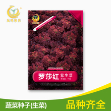凤鸣雅世菜籽罗莎红生菜种子10g叶用莴苣鹅仔菜唛仔菜莴仔菜热卖