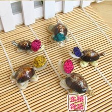 小动物 热销海螺贝壳饰品工艺品旅游区纪念带眼镜小乌龟地摊热卖