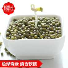 相思莲 绿豆3*500g 江西农家绿豆 毛绿豆 五谷杂粮粗粮粮油米面