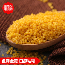 买3送1 相思莲 山西广灵黄小米500g 山西小米沁州黄小米 特级