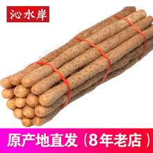 铁棍山药淮山河南焦作温县铁杆怀山约新鲜山药5斤装 沁水岸