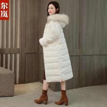 尔岚羽绒服图片