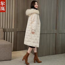 尔岚羽绒服图片