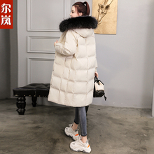 尔岚棉衣图片