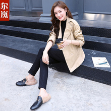 尔岚皮衣图片