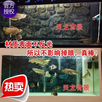 鱼缸装饰画口碑如何