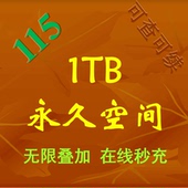 115扩容 1T空间卡 1T扩容 在线秒充 不是115会员年费