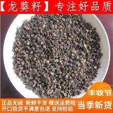 龙葵中药材野生龙葵子龙葵籽野葡萄龙葵果天茄子500克无杂质