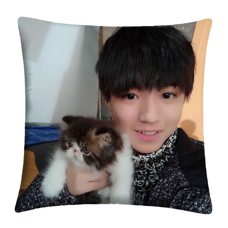 鹿子百合王俊凯抱枕