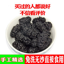 包邮 攀枝花特产桑葚干桑椹天然晾晒无沙干桑果桑葚桑仁泡酒500克