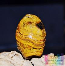 395 地表阿拉善 蒙天珠 四子王旗 钱币石 戈壁玛瑙原石