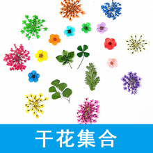DIY手工制作饰品水晶滴胶天然干花四叶草蕾丝花玻璃许愿瓶填充物