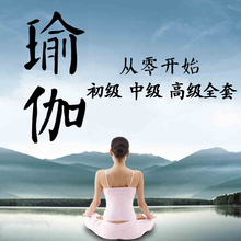 瑜伽视频教程全套瘦身减肥初级入门零基础教学产后恢复自学电子版