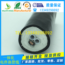 包邮 正品 双芯伴热管线CEMS伴热取样管一体化伴热采样管电厂伴热管