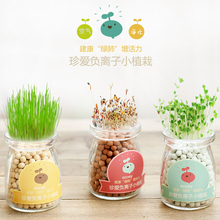 Ecoey迷你盆栽创意负离子陶碳球植栽水培植物自动吸水桌面小盆栽