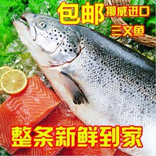 15斤起拍 生鱼片 包邮 按斤售卖 挪威进口冷冻新鲜三文鱼刺身整条