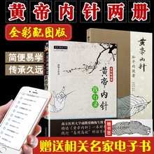 中国中医药出版社 养生古中医皇帝内经杨真海传讲 黄帝内针践行录中医针灸临床入门参考 刘力红整理赖梅生主编 中医经典 黄帝内针