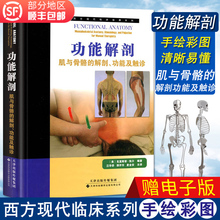 体育 肌与骨骼 解剖 运动解剖学书骨骼肌肉 功能解剖 功能及触诊西方现代临床按摩系列 正版 关节运动津科翻译美克里斯蒂.凯尔