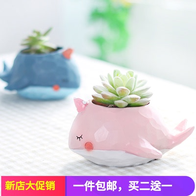 动物办公桌排行榜