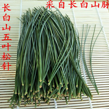 酵素500g 包邮 红松针五叶松针 长白山野生红松针五针松针新鲜松针