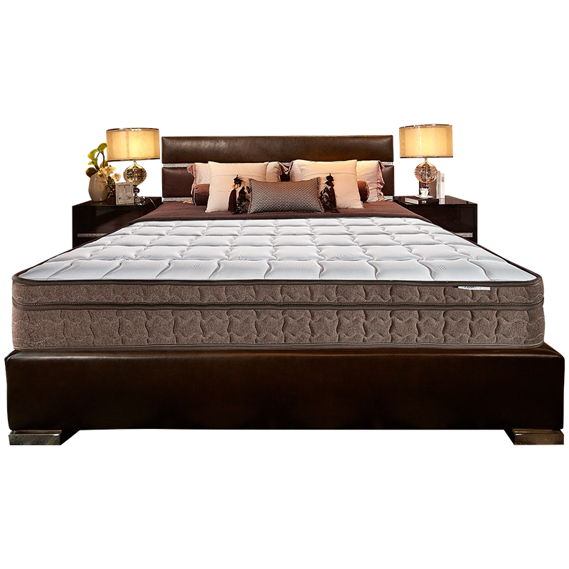 �����齺���� ��Ʒ