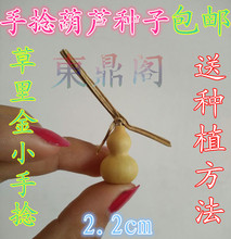 精品天然特小手捻种子把玩天津嘴葫芦籽阳台观赏铁包金2 6cm 包邮