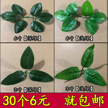 玫瑰叶郁金香叶百合花叶牡丹花叶仿真花叶丝网花叶子
