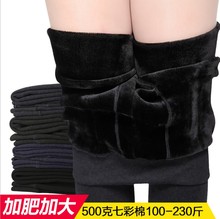 加肥棉裤女冬外穿加绒大码打底裤200斤加厚显瘦黑色胖妹妹保暖裤
