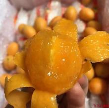 包邮 现货新鲜泰国枇杷芒2斤进口新鲜芒果黄芒果水果琵琶芒顺丰