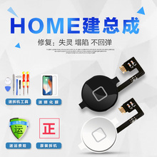 iPhone4 4S返回键Shome键排线苹果5代HOME键总成 5c按键返回排线