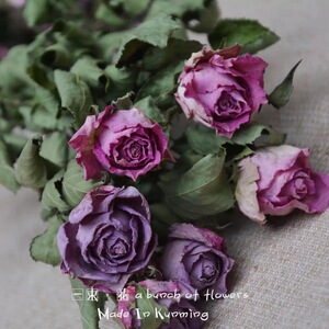 彩色玫瑰干花花苞系列一束3支骨朵玫瑰小玫瑰花束配花插花点缀